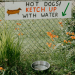 Funny Hot Dogs Ketch Up With Water sign with Dachshund illustration above a metal dog water bowl in a garden, perfect low maintenance dog breeds humor