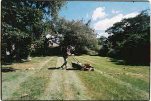 Keep your yard bug-friendly