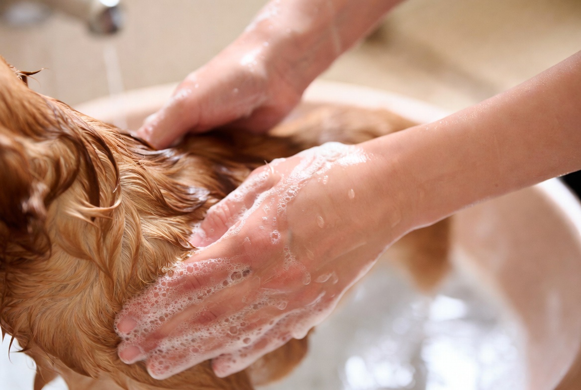 Natural flea treatment for dogs using mild dish soap bath, effective instant flea killer home remedy with hands washing pet fur