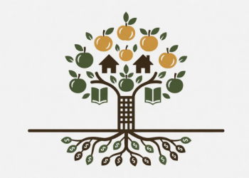 Income hierarchy tree diagram of financial growth illustration with money roots, education, home ownership and wealth fruits